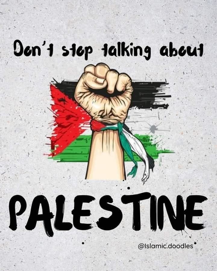 Picture of a fist raised in defiance with a Palestinian flag "don't stop talking about Palestine"