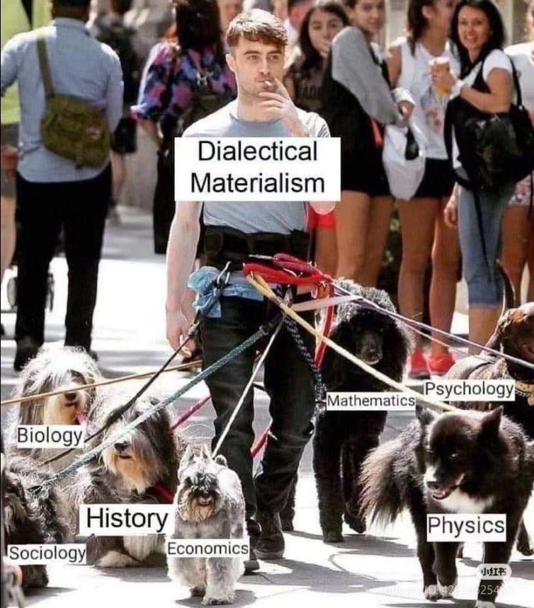 Danial Radcliff picture of him walking multiple dogs. 
He is labelled idalectical materialism and the dogs are labelled biology, history, economics, sociology, mathematics, physics, psycology
