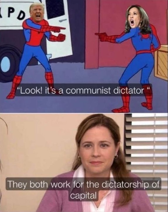 First panel, two batmen pointing at each other, one is trump one is kamala "Look! its a communist dictator!" they both shout
Second panel, woman from the "corporate needs you to tell the difference" meme saying "they both work for the dictatorship of capital"