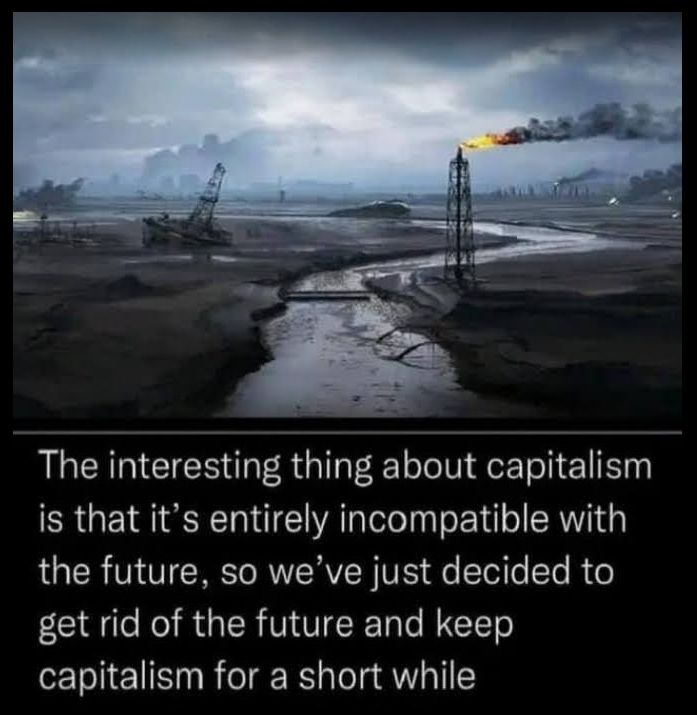 The interesting thing about capitalism is that it's entirely incompatible wit the future, so we've just decided to get rid of the future and keep capitalism for a short while 