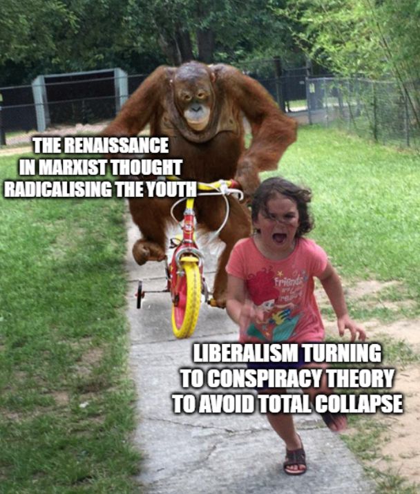 A meme of an orangutan chasing a kid. Orangutan is labelled 