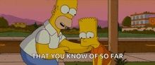 Gif of Homer saying "That you know of so far."