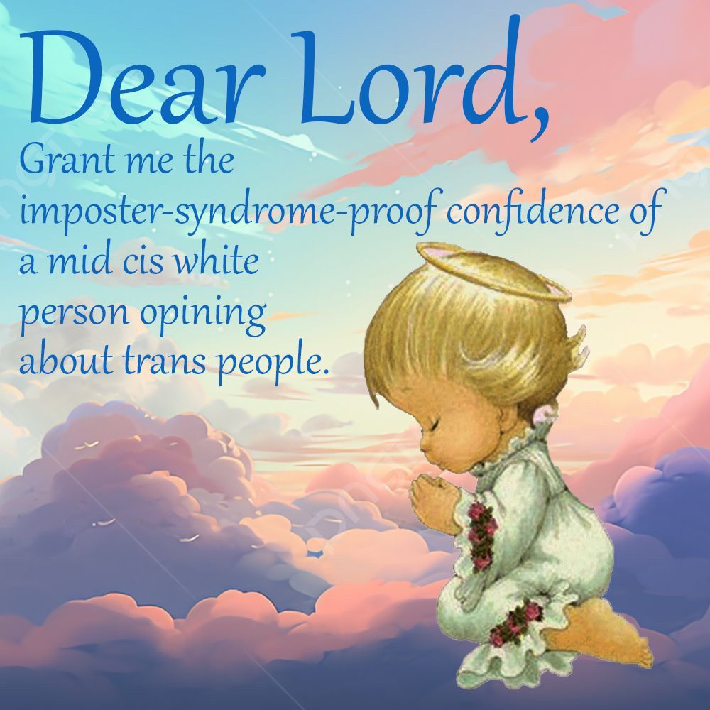 Dear Lord, grant me the imposter syndrome proof confidence of a mid says white person opining about trans people