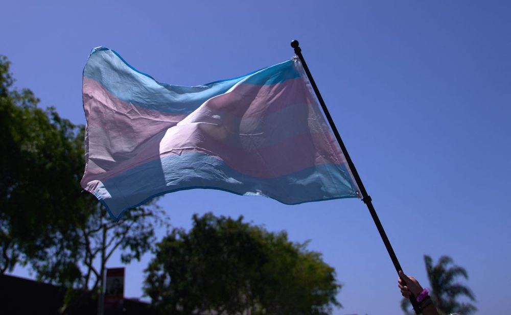 {Sky background with trees with a trans flag with the trans flag colors. Someone is holding it up.}