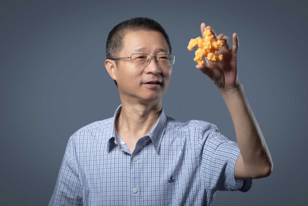 Chinese biologist Chai Jijie cracks plant immune system puzzle