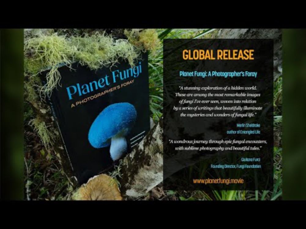 Planet Fungi: A Photographers Foray - what is it?