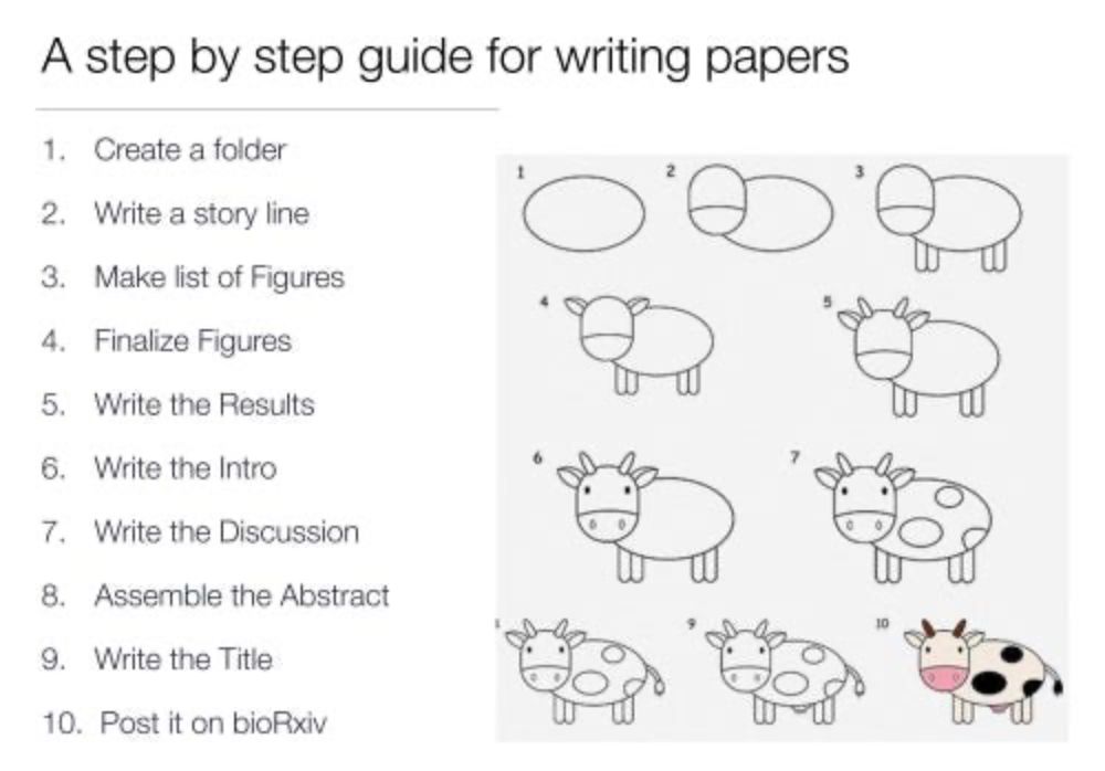 Don’t perish! A step by step guide to writing a scientific paper