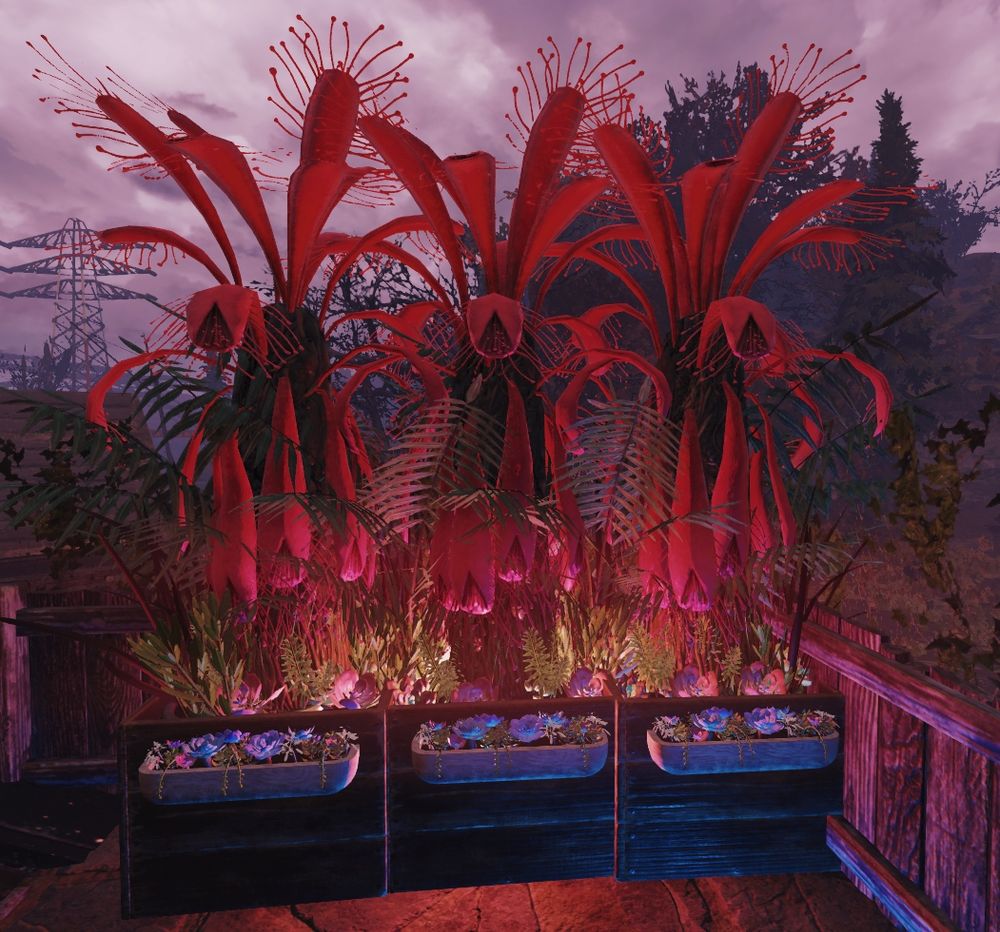 3 plant boxes with several plants sprouting from them. the largest being 3 large tropical looking pink petaled plants.