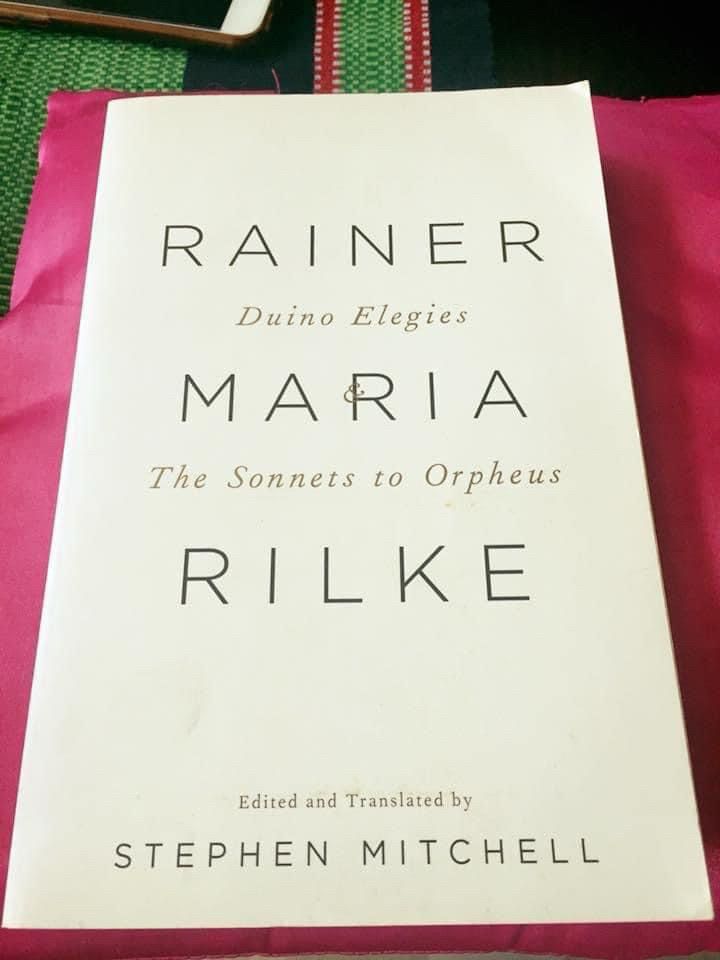 Picture of book - Duino Elegies & The Sonnets to Orpheus by Rainer Maria Rilke 