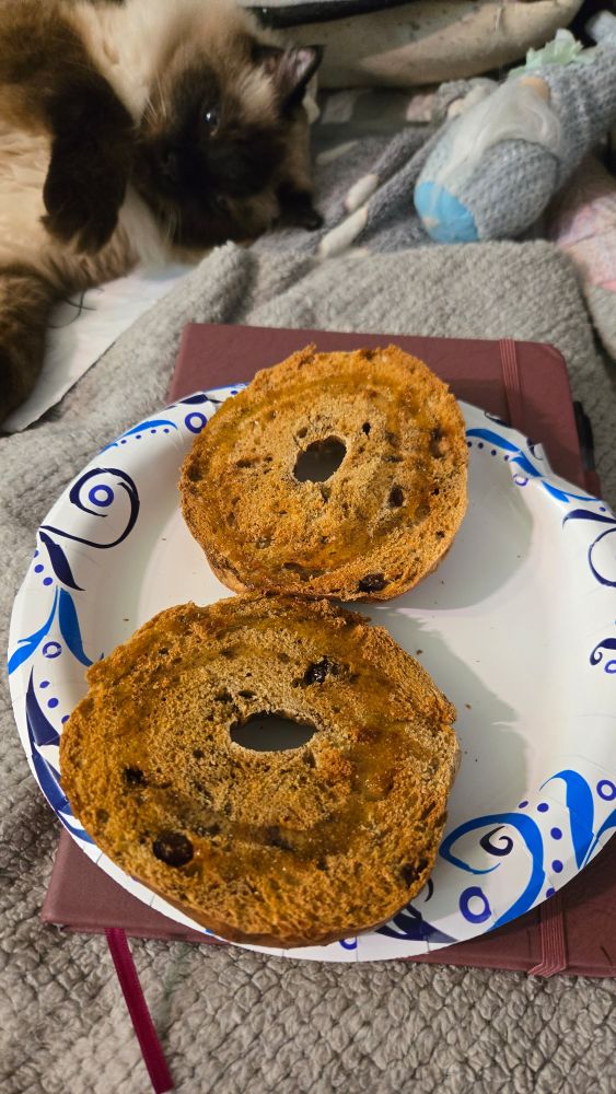 A raisin bagel cut in half. A cute cat sitting near his gnome in the background.