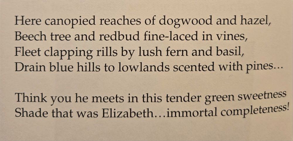 A section of a poem by Anne Spencer that reads: Here canopied reaches of dogwood and hazel,
Beech tree and redbud fine-laced in vines,
Fleet clapping rills by lush fern and basil,
Drain blue hills to lowlands scented with pines...

Think you he meets in this tense green sweetness
Shade that was Elizabeth... immortal completeness!