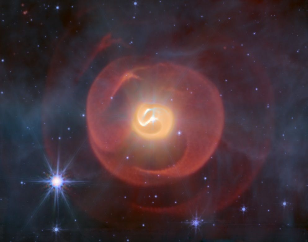 The image shows a false-colour image of the Apep colliding wind nebula as taken by the James Webb Space Telescope (JWST) in the mid-infrared. In the centre of the image, there is an orange-coloured spiral coil of dust, not dissimilar in shape from a snail's shell. There are two concentric repeats of the coil that are larger and encompass the inner shell, and these further out shells of dust are coloured red and get dimmer as they get further from the centre of the image. These far out coils of dust look somewhat like translucent spheres.
At the very centre of the image is a small spikey object which are the three stars in Apep that create and hide behind the dust shells. There are stars scattered throughout the image, each with a snowflake-like 'point spread function' that spreads the central brightness of the stars into diffraction spikes.
Image credit: Shashank Dholakia for R M T White et al 2025. 'The Serpent Eating Its Own Tail: Dust Destruction in the Apep Colliding-Wind Nebula'. PI: Yinuo Han.