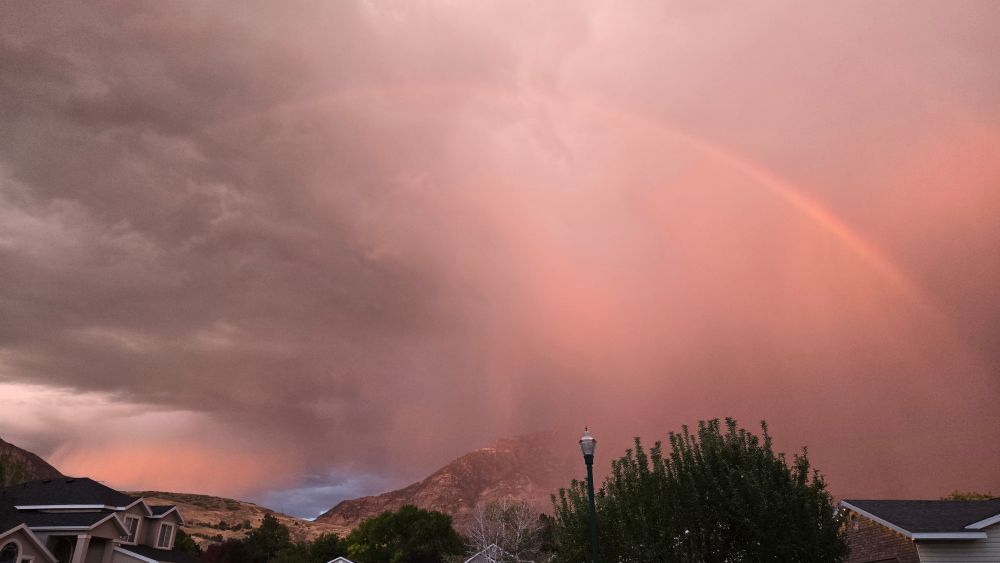 A picture of a cloudy/misty sky with pink lighting. There are some trees in the foreground and a full rainbow behind them, arching from one side of the photo to the other. 