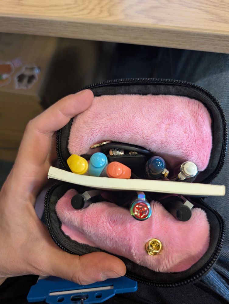 Lots of pens in a pink, fuzzy case. Top down view of the pen lids. 