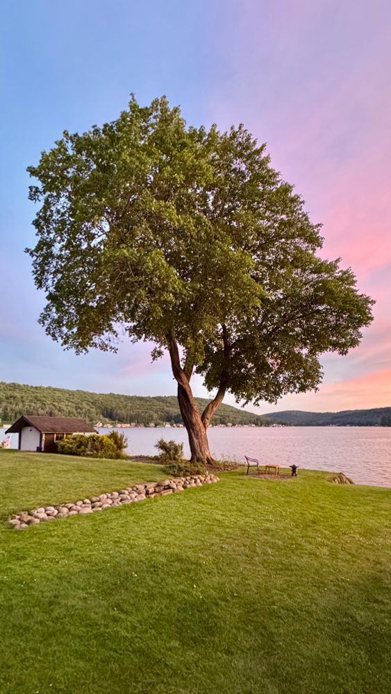 Tree like a lollipop with green grass and calm lake with a low rounded stone wall. Left sky is blue and mostly clear with a gradient towards orange and pink on the right. 
