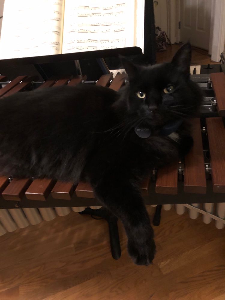 Tommy, teaching advanced sticking techniques.