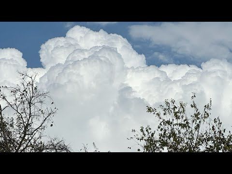 2025 Reading for Water Signs - Cancer, Scorpio & Pisces