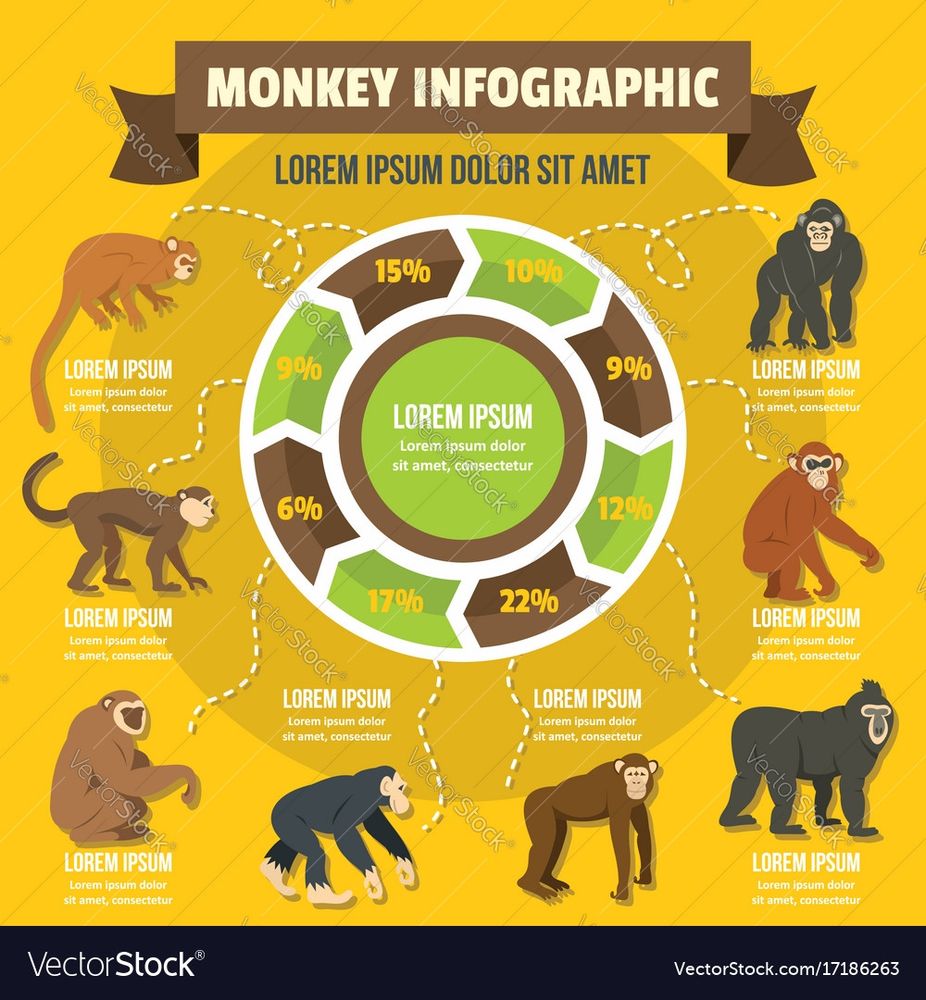 Grafico de stock con monos