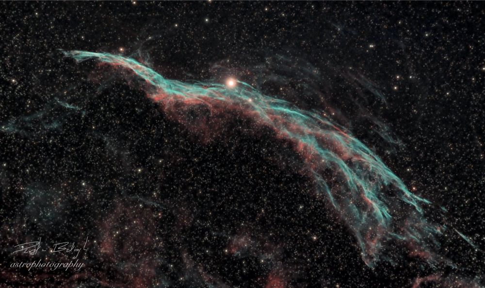 I took this image of the Western Veil Nebula (NGC6960) last night. I’ve imaged it several times over the years, but haven’t been satisfied enough to share till now. The Western Veil Nebula, or Witches Broom Nebula, as it is also called, is the remnant of a supernova from a massive star, some 20x bigger than our sun. That exploding star (supernova) created this massive cloud of dust and gasses. Astronomers estimate the explosion took place some 10-20,000 years ago. The supernova would have then been brighter in the sky than Venus and visible in the daytime sky - even though it is about 2,400 LY away. Since the supernova, the remnants have expanded to about 3 visual degrees which is equivalent to 6 moons lined up. So this is a BIG object in the sky! It’s fun to think what our night sky would look like if objects like this were brighter (or closer). This is located near an arm of the Milky Way, near Cygnus the Swan, so there are plenty of stars in the background. It is positioned almost directly overhead at midnight this time of year - but you will need a telescope equipped with a camera to see it. Nearby stars are bombarding this gas/dust cloud with energy, making it glow. The red is from the presence of hydrogen, and the blue from oxygen. Let your imagination run a little bit, and you can see how it got its nickname of the “Witches Broom.” Enjoy,
