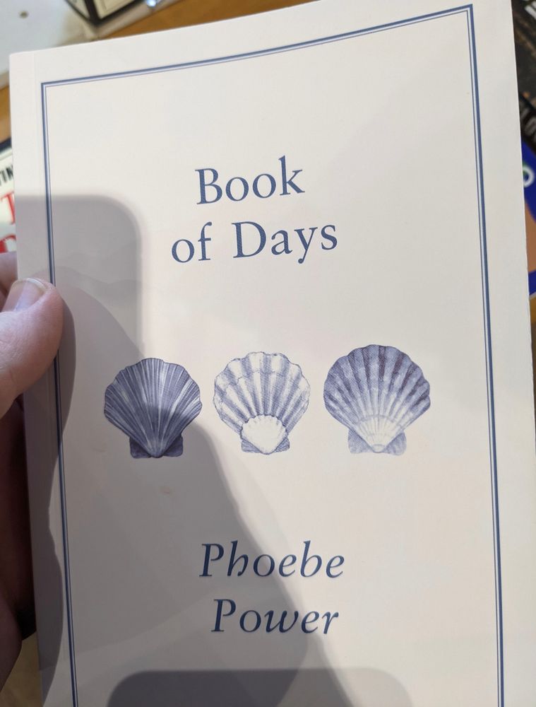 A book cover 

It's called Book of Days by Phoebe Power.

The cover has three seashells in it.