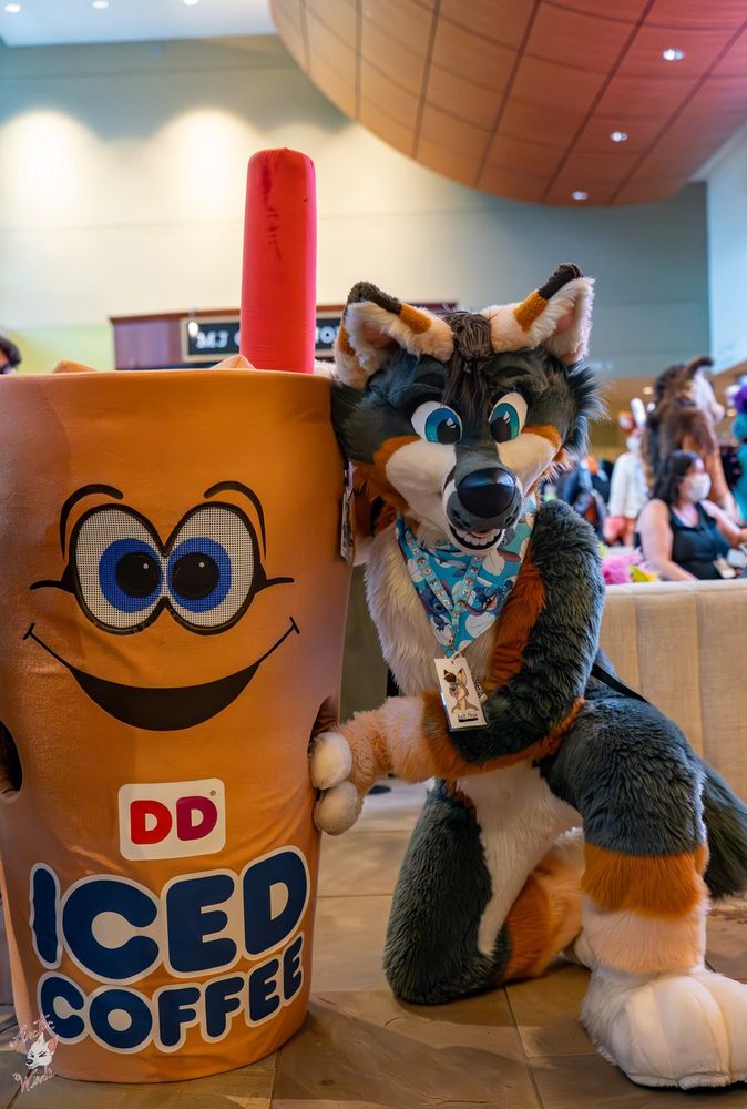 A grey fox fursuiter posing next to a Dunkin’ Donuts iced coffee mascot costume.