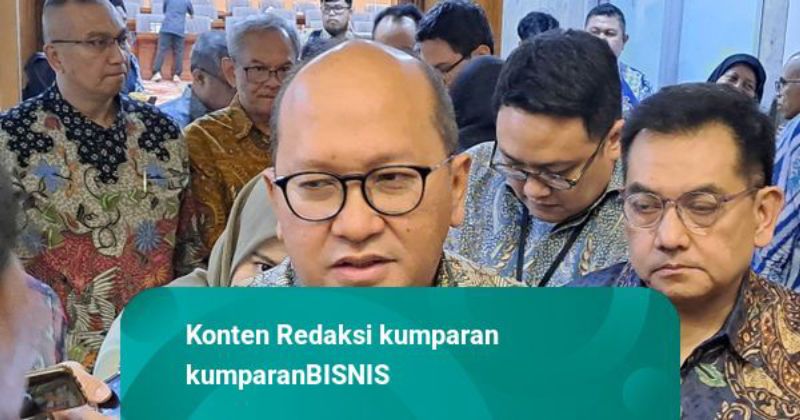 Rosan Yakin Kebakaran Smelter Freeport Tak Ganggu Investasi Sektor Hilirisasi