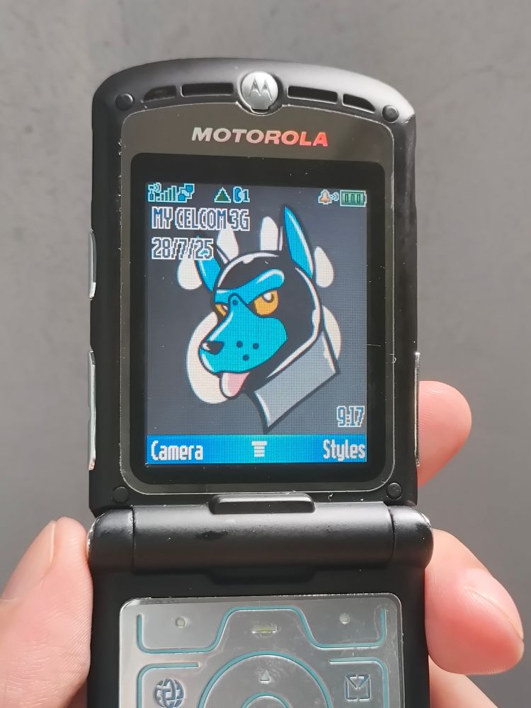 PupPlay wallpaper I made. 176x220 small 