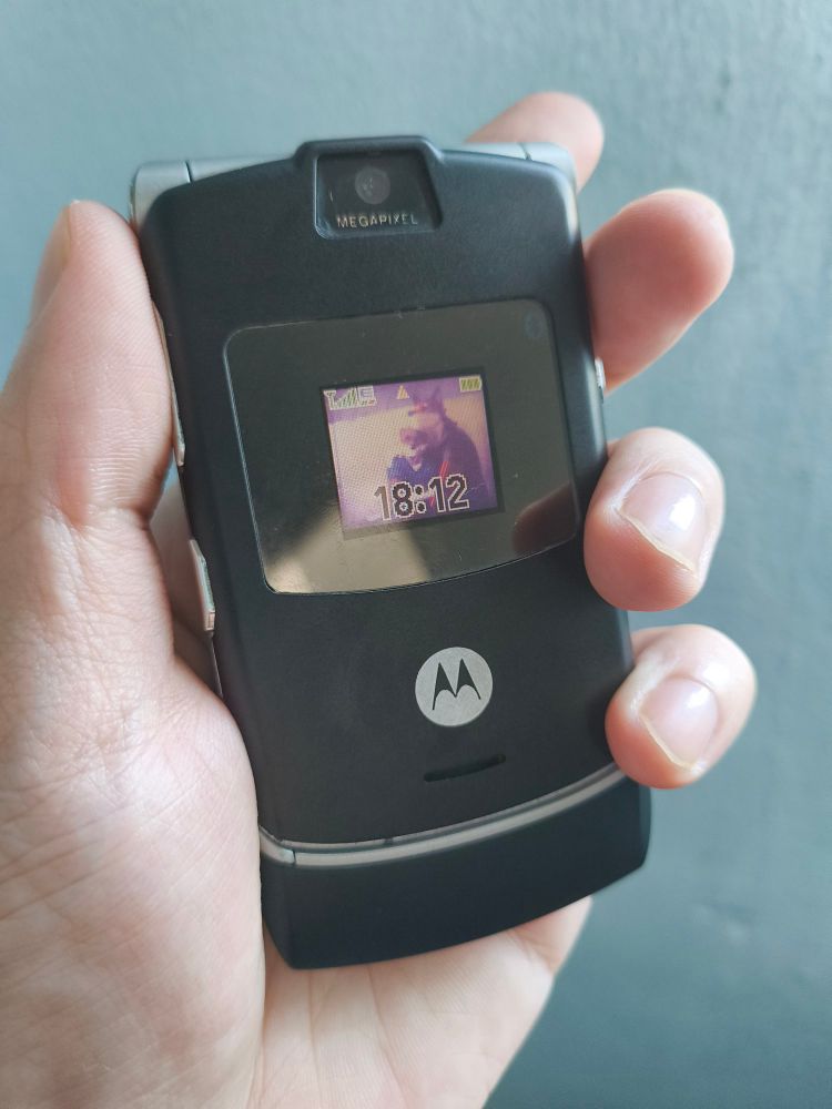 Silver frame and black housing. Gave a bit more unique look. 