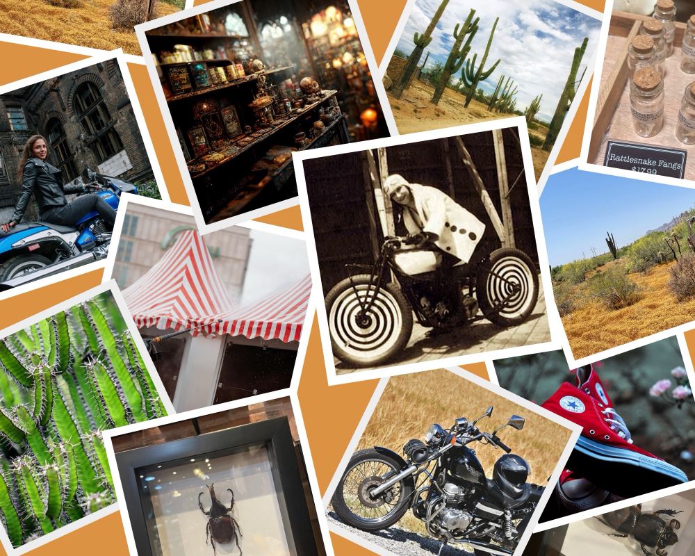 Mood board depicting desert things, beetles, Lillian LaFrance on a motorcycle, motorcycles, oddities shop!