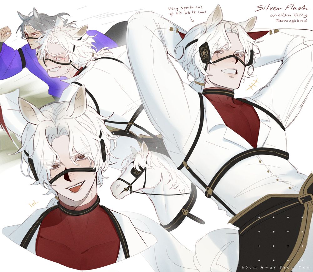 Various drawings of a Windsor Grey horse turned human
