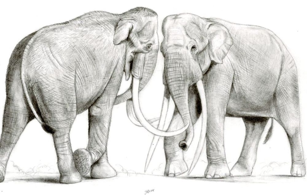 Art by DeviantArt user Jagroar