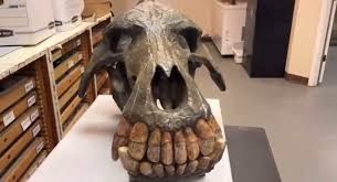 Photo from the Museum of York County