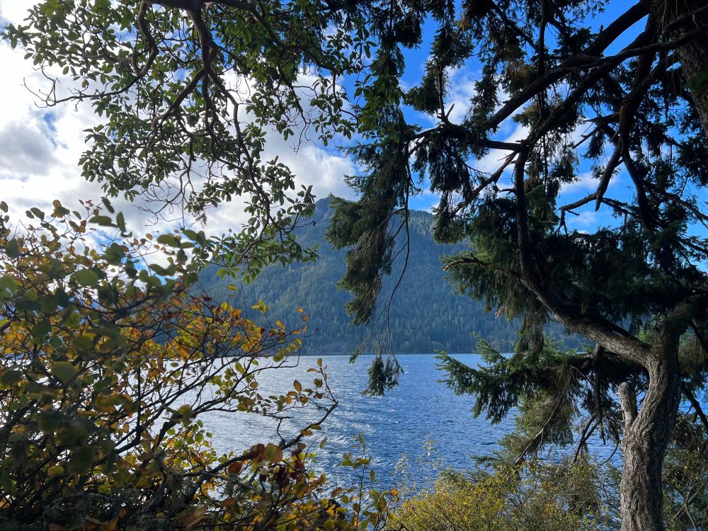Nature photo. Framed by tree branches in the foreground on all four sides, the view is of a gorgeous blue lake backed by a heavily forested hill in the distance. The sky is bright blue with fluffy white clouds.