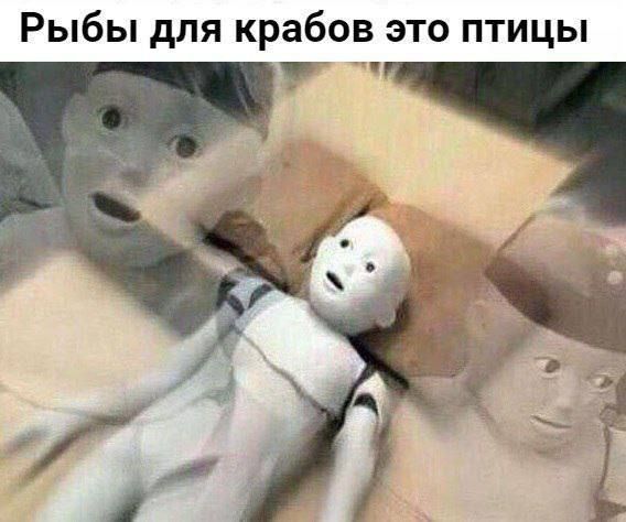 Текст: "Рыбы для крабов это птицы"

(Фотография шокированного азиатского робота-гуманоида)
