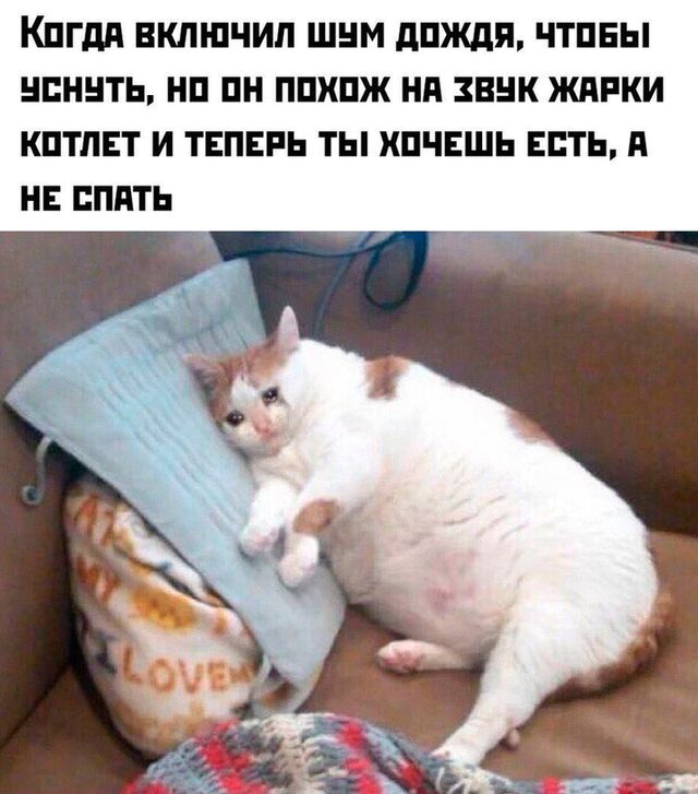 Когда включил шум дождя, чтобы уснуть, но он похож на звук жарки котлет, и теперь ты хочешь есть, а не спать 

(Фотография фотошопленного толстого кота, лежащего на подушке и плачущего) 