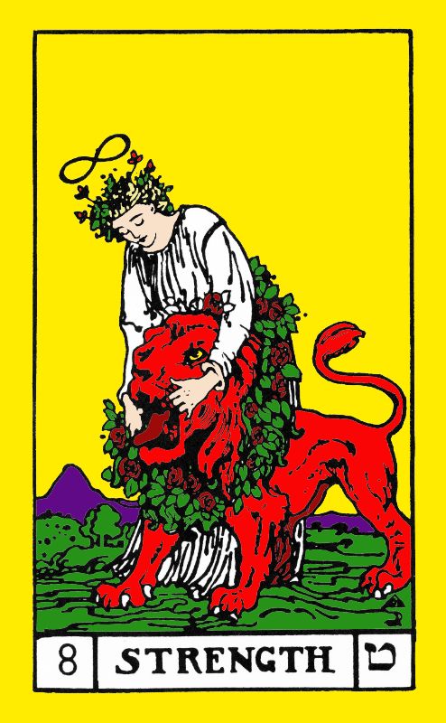Key 8 is the Strength card of the Major Arcana of the Tarot. Yellow frame with a yellow background shows a woman wearing a white robe putting her hands inside a lions mouth. She has a crown of roses on her head and an infinity symbol over her head. The lion is red, and there is a figure 8 of roses around the neck of the lion and the waste of the woman. They stand on a green ground and there are violet moutians in the back ground. 