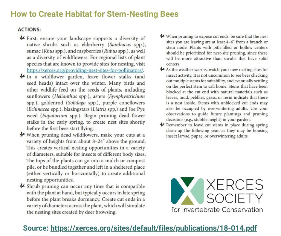 Full guide: Nesting & Overwintering Habitat for Pollinators and other Beneficial Insects https://xerces.org/sites/default/files/publications/18-014.pdf  