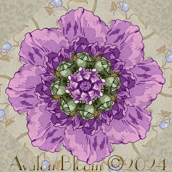 Sew radiant kaleidoscope quilts with Papaver by Phillip Jacobs for the Kaffe Fassett Collective for Free Spirit Fabrics. Papaver is the Latin name for poppies, often associated with themes of remembrance and sleep. Papaver, features a mesmerizing pattern of large, stylized poppies that seem to dance across a Grey backdrop. The intricate detailing of the petals and leaves, combined with the rich, lavender tones, creates a bold and dynamic visual impact. The colors include lavender, grape, purple, periwinkle and green, on a grey background, creating a striking contrast perfect for kaleidoscope quilting. The fabric pattern is Papaver from The Kaffe Fasett Collective by Philip Jacobs for Free Spirit Fabrics. The pattern is Papaver PWPJ127 color Grey.
Pre-Cut Kaleidoscope Quilt Block Kit Details
Fabric and Design: The finished dimensions for all blocks sewn together is 24 x 32 inches, with each block measuring 8 1/2 inches square when sewn.
High-Quality Material: Our Fast and Easy Blooming Blocks© are cut from 100% cotton fabric, ensuring durability and softness.
Unique Kaleidoscope Effect: Each block in the pre-cut kaleidoscope quilt block kit will be uniquely different due to the layering of the fabric in exact repeats. This creates a stunning kaleidoscope effect by precisely rotary cutting them