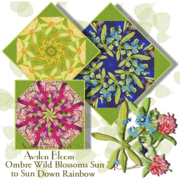Create a Beautiful Kaleidoscope Quilt with Ombre Wild Blossoms Sun Up to Sun Down Rainboe  by Robin Pickens for Moda Fabrics. Wild Blossoms  features wild flowers of poppies, daisies, clover, Queen Anne's Lace, Bluebonnets and more, in a graduated rainbow display of the flowers. Each of the blocks cut from this fabric will be truly unique with varying colors of background. The colors are navy, bold magenta, lush greens, turquoise, plum, crimson,lavendar,  orange and yellow on a graduated rainbow background, perfect for kaleidoscope quilting. Making each block truly unique.The fabric pattern is Ombre Wild Blossoms Sun Up to Sun Down Rainbow by Robin Pickens for Moda Fabrics, Ombre Wild Blossoms, 48730 11 color Floral Ombre.