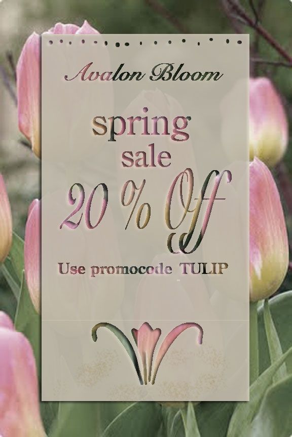 Avalon Bloom Spring Sale. 20% off the entire store until Wednesday April 3, 2025