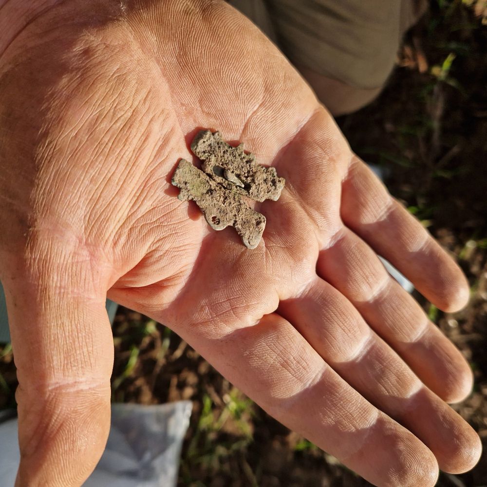 A still-articulated pair of wrist clasps, once part of female-gendered 'Anglian' dress, found at the base of a plough furrow.