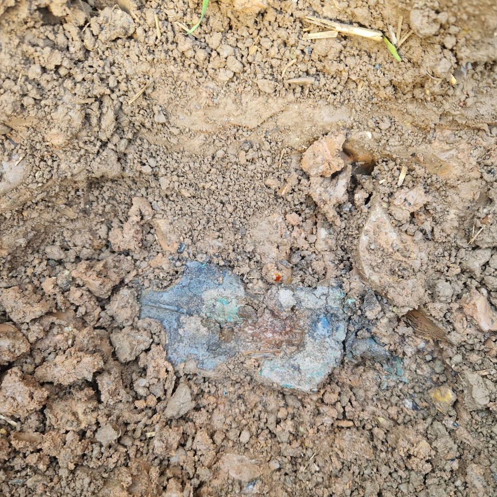 A Great Square Headed brooch mostly covered by earth, left in place after being identified by detecting.