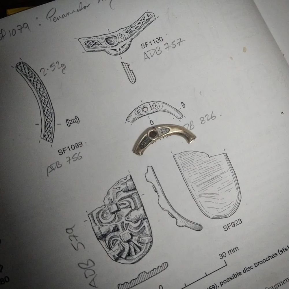 A page from the Williams 2020 volume 'A Riverine Site Near York', showing several drawings of finds. In the centre, a fragment of a reproduction penannular brooch is laid next to a similar-looking illustration.