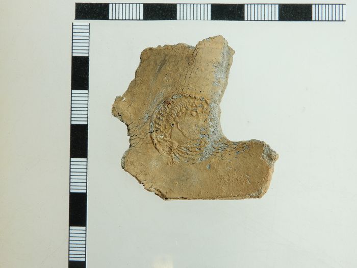 A torn fragment of lead sheet, impressed with the face of a coin