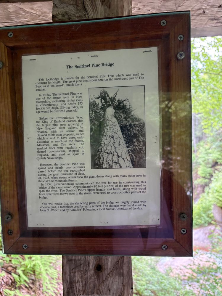 The story of the Sentinel Pine, which stood for more than 100 years after King George tried to claim its wood for England and then was made into a covered bridge by New Hampshire citizens after it was felled by a storm. 