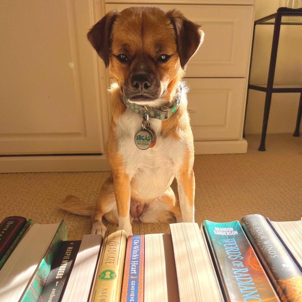 A small dog considers a selection of books with a judgmental face