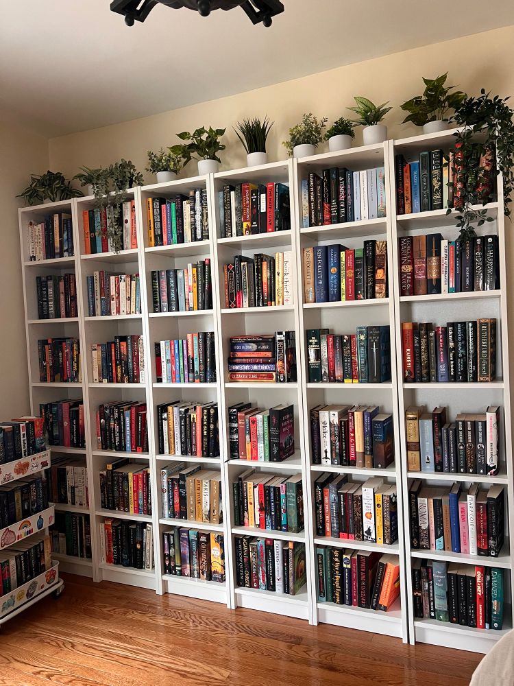 Bookcases full of books