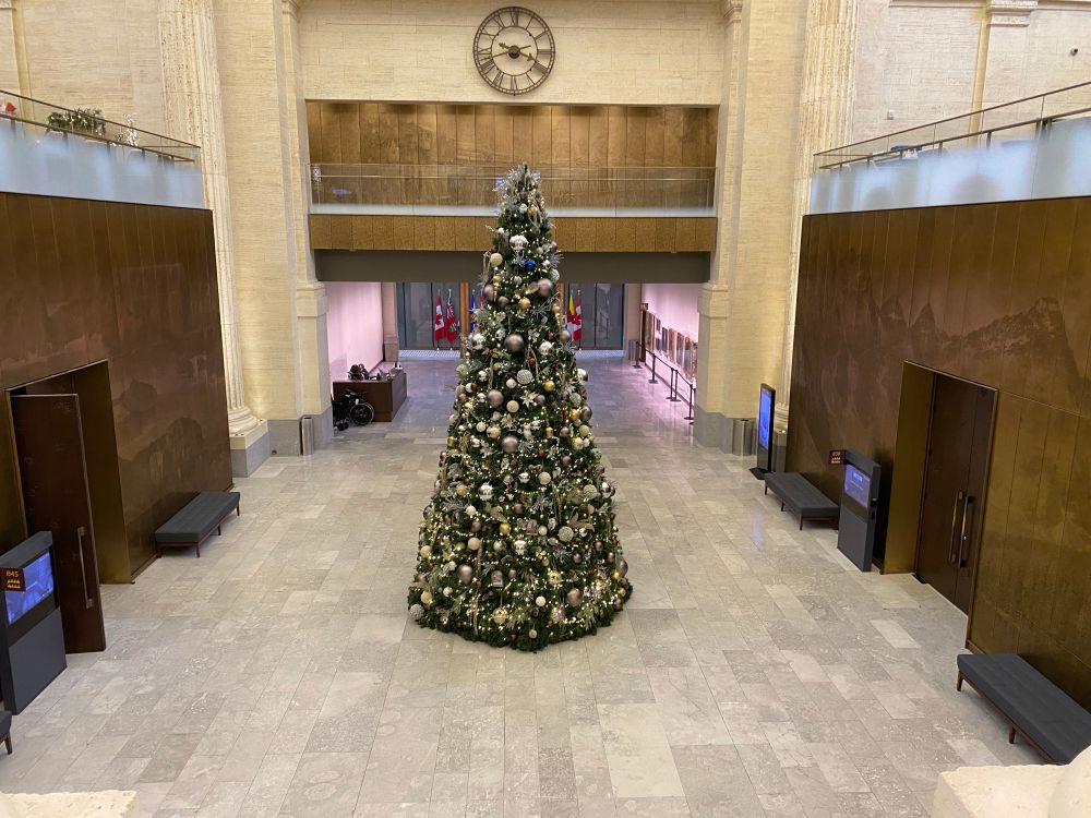 The foyer of the Senate building, with a giant Xmas tree in the centre. 