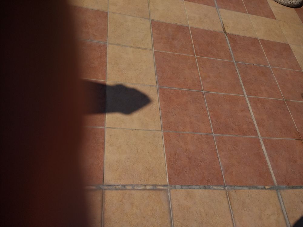 Accidental phalic shadow .
