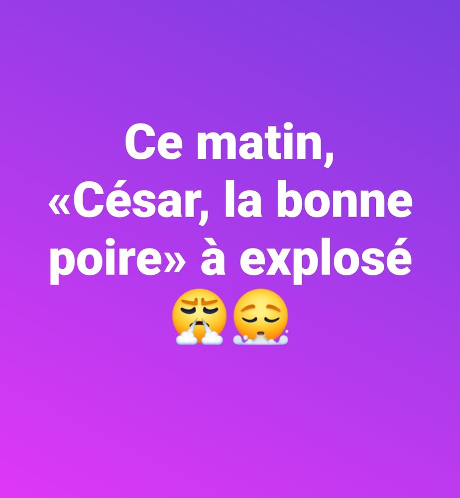 Fond mauve avec écrit en blanc : Ce matin, «César, la bonne poire» à explosé. 